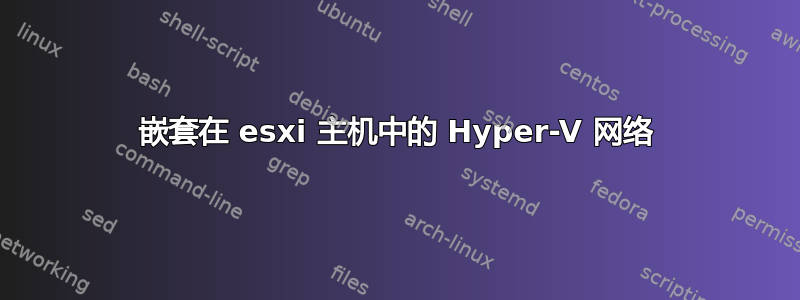 嵌套在 esxi 主机中的 Hyper-V 网络