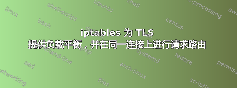 iptables 为 TLS 提供负载平衡，并在同一连接上进行请求路由