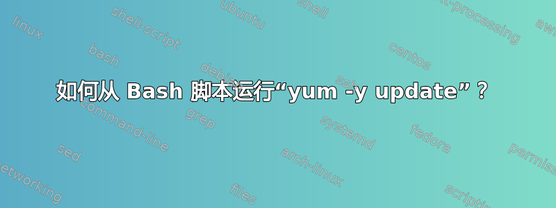 如何从 Bash 脚本运行“yum -y update”？