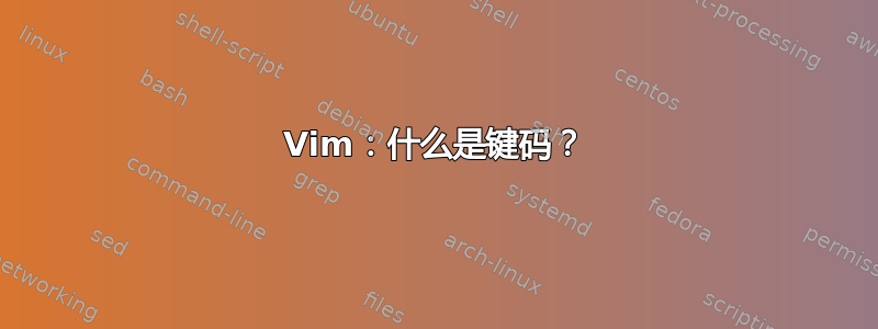 Vim：什么是键码？