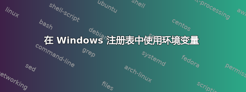 在 Windows 注册表中使用环境变量