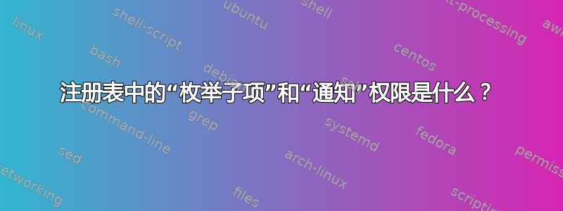 注册表中的“枚举子项”和“通知”权限是什么？