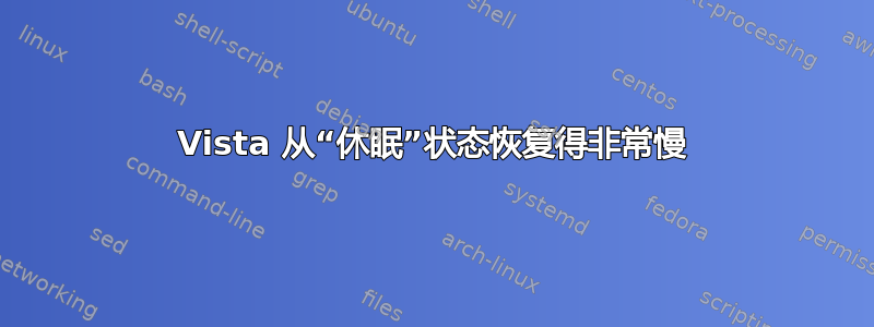 Vista 从“休眠”状态恢复得非常慢