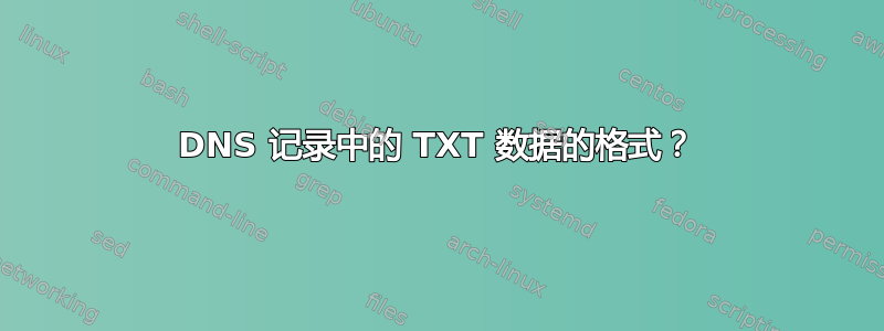 DNS 记录中的 TXT 数据的格式？