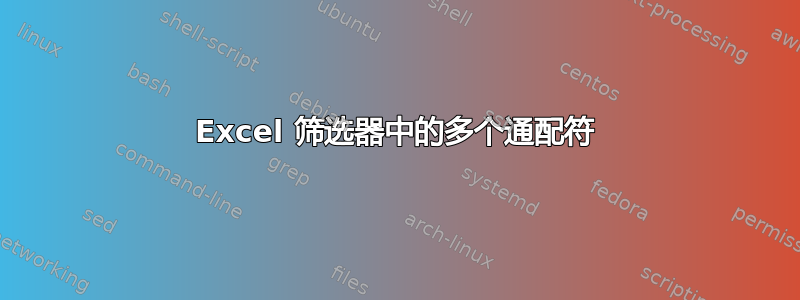 Excel 筛选器中的多个通配符