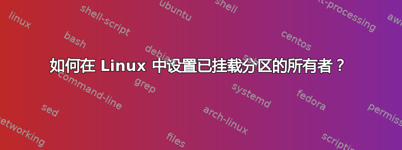 如何在 Linux 中设置已挂载分区的所有者？