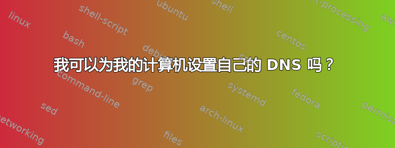 我可以为我的计算机设置自己的 DNS 吗？