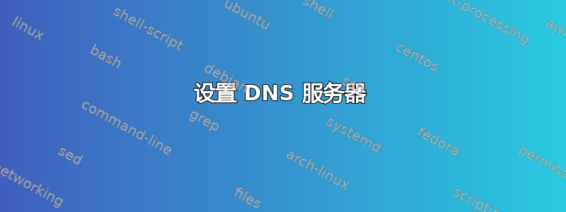 设置 DNS 服务器