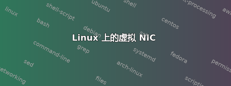 Linux 上的虚拟 NIC