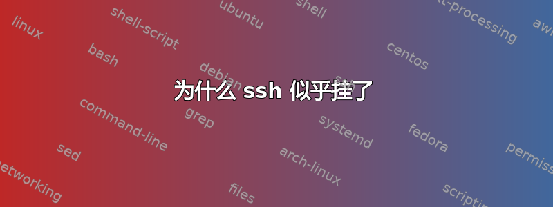 为什么 ssh 似乎挂了