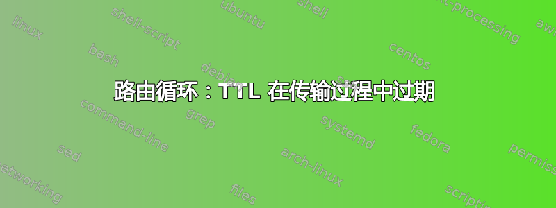 路由循环：TTL 在传输过程中过期