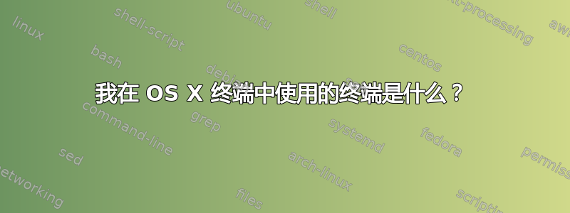 我在 OS X 终端中使用的终端是什么？