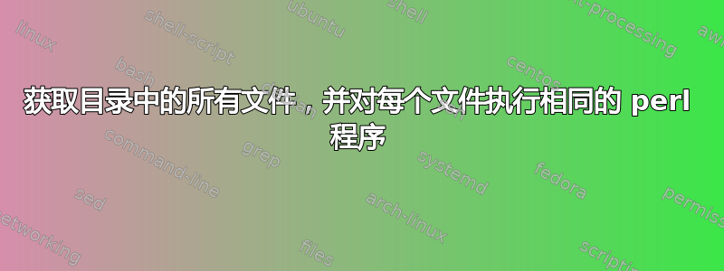 获取目录中的所有文件，并对每个文件执行相同的 perl 程序