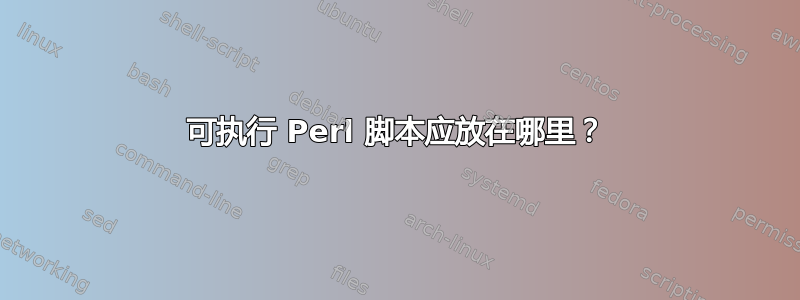 可执行 Perl 脚本应放在哪里？