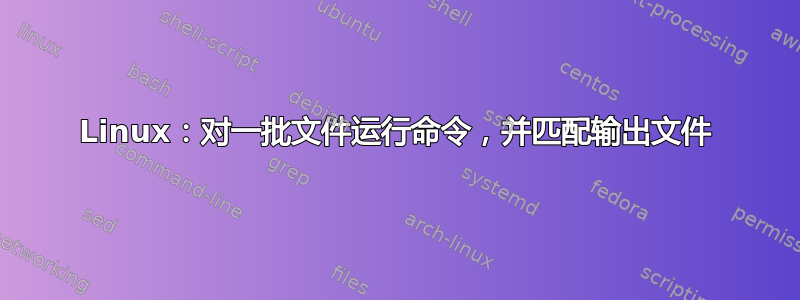 Linux：对一批文件运行命令，并匹配输出文件