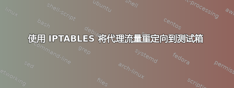 使用 IPTABLES 将代理流量重定向到测试箱