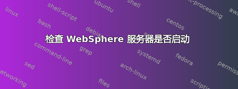 检查 WebSphere 服务器是否启动