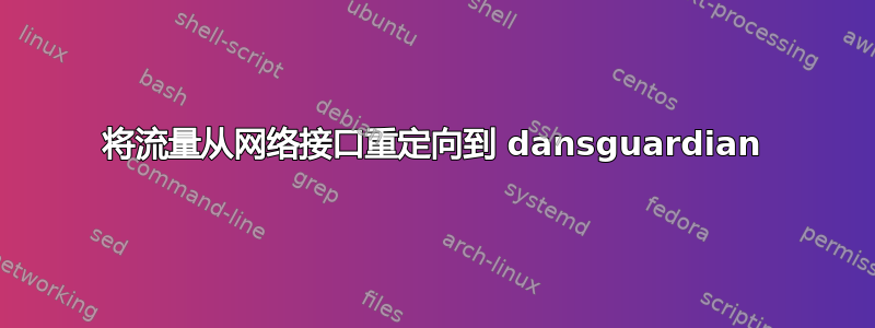 将流量从网络接口重定向到 dansguardian