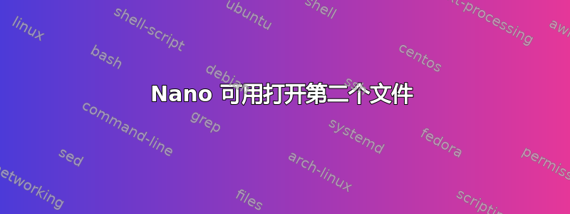 Nano 可用打开第二个文件