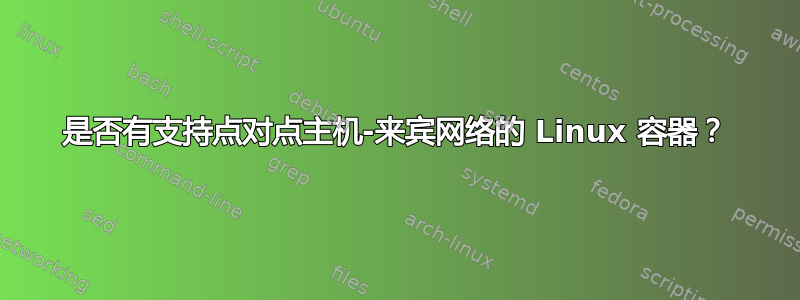 是否有支持点对​​点主机-来宾网络的 Linux 容器？