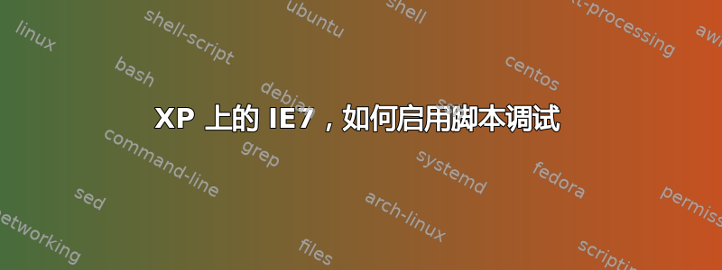 XP 上的 IE7，如何启用脚本调试