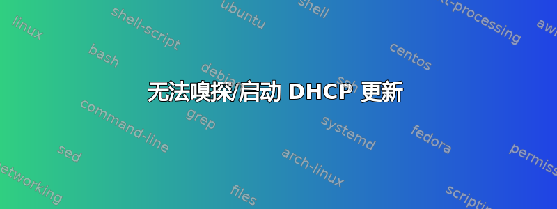 无法嗅探/启动 DHCP 更新