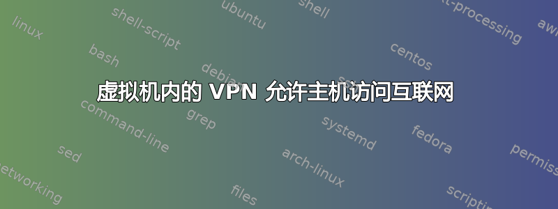 虚拟机内的 VPN 允许主机访问互联网