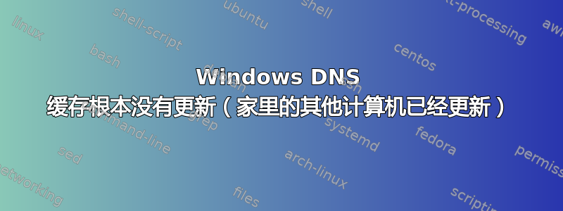 Windows DNS 缓存根本没有更新（家里的其他计算机已经更新）