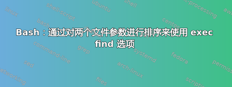 Bash：通过对两个文件参数进行排序来使用 exec find 选项