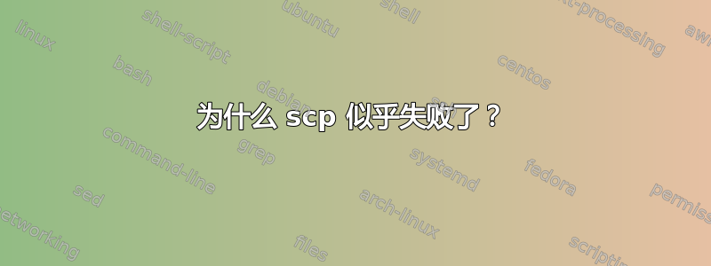 为什么 scp 似乎失败了？