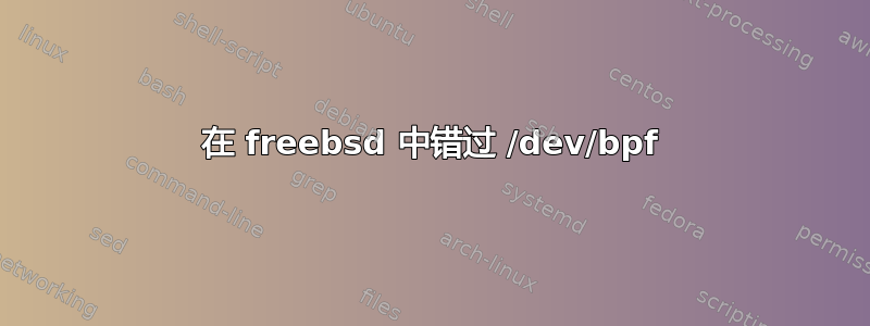 在 freebsd 中错过 /dev/bpf