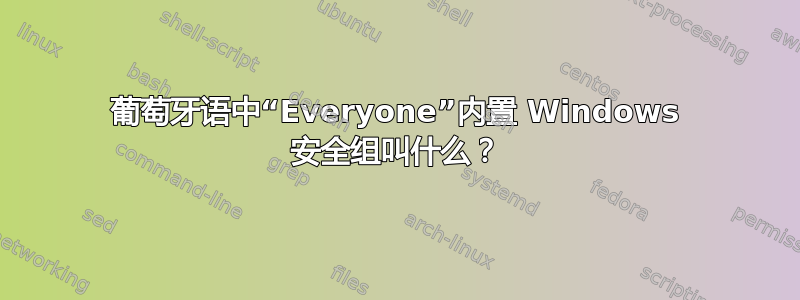 葡萄牙语中“Everyone”内置 Windows 安全组叫什么？