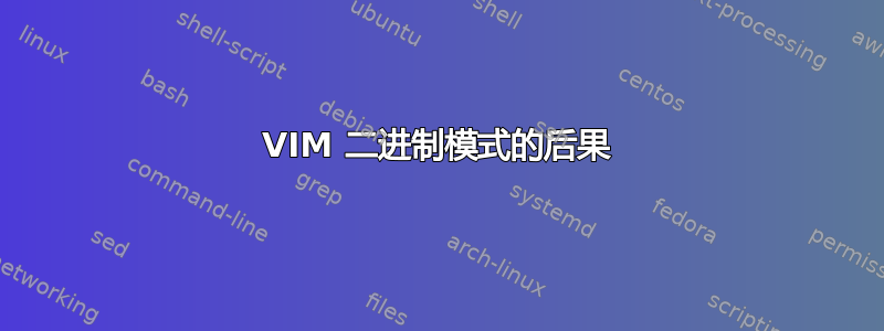 VIM 二进制模式的后果