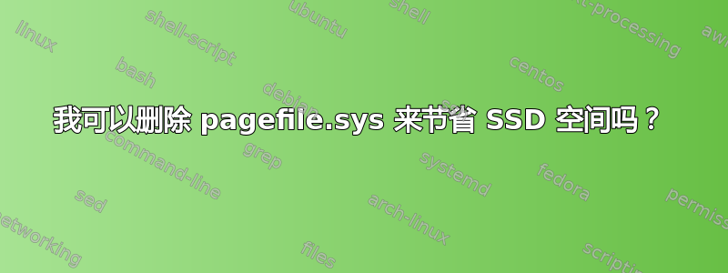 我可以删除 pagefile.sys 来节省 SSD 空间吗？