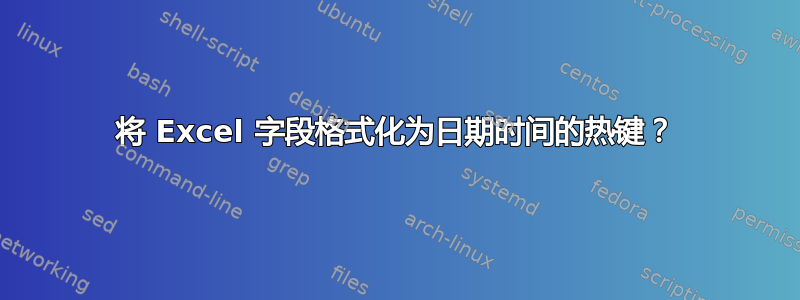 将 Excel 字段格式化为日期时间的热键？