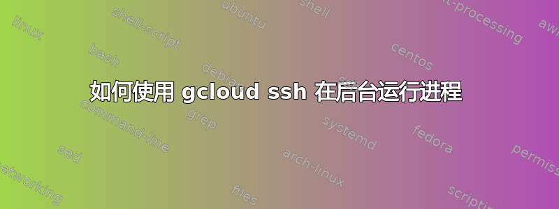 如何使用 gcloud ssh 在后台运行进程