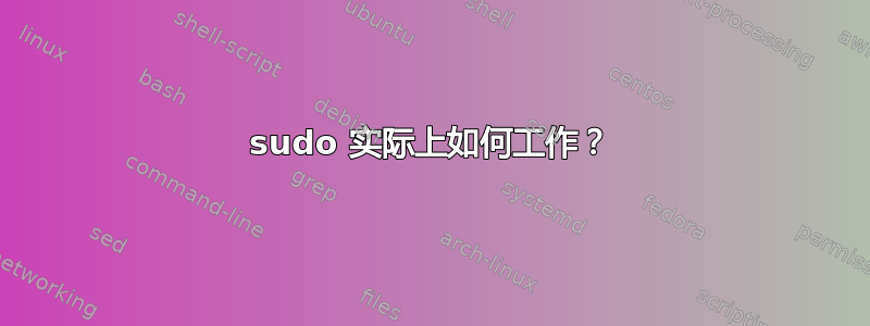 sudo 实际上如何工作？