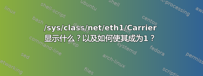 /sys/class/net/eth1/Carrier 显示什么？以及如何使其成为1？