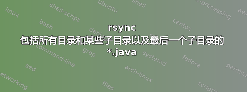 rsync 包括所有目录和某些子目录以及最后一个子目录的 *.java