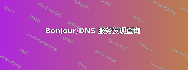 Bonjour/DNS 服务发现查询