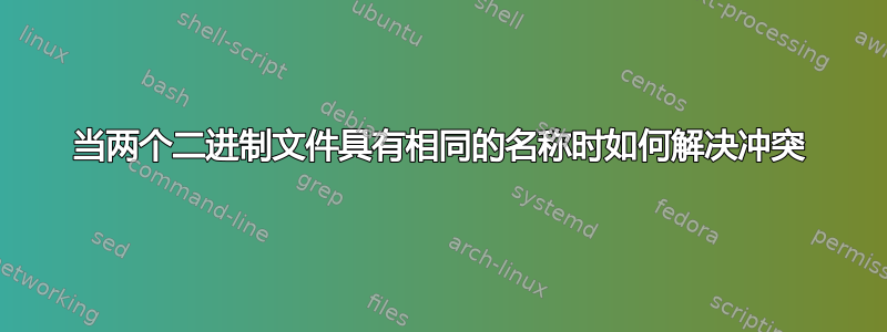 当两个二进制文件具有相同的名称时如何解决冲突