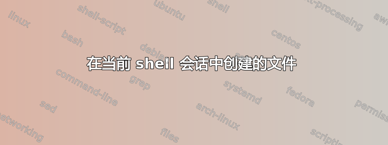 在当前 shell 会话中创建的文件