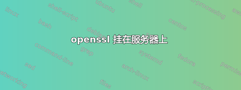 openssl 挂在服务器上