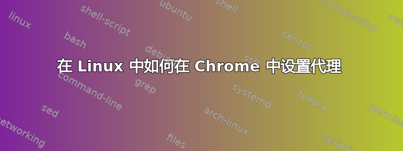 在 Linux 中如何在 Chrome 中设置代理