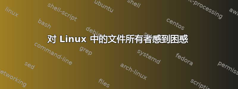 对 Linux 中的文件所有者感到困惑