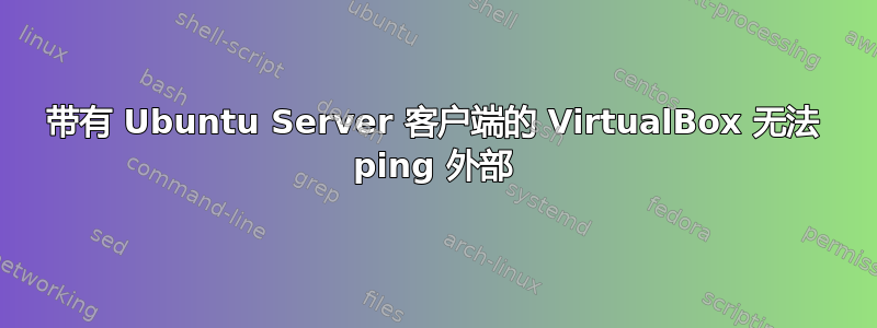 带有 Ubuntu Server 客户端的 VirtualBox 无法 ping 外部