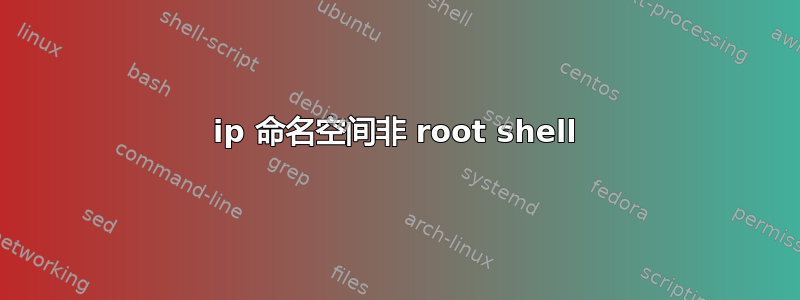 ip 命名空间非 root shell