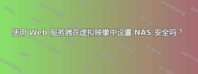 使用 Web 服务器在虚拟映像中设置 NAS 安全吗？