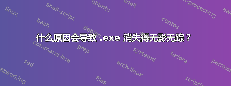 什么原因会导致 .exe 消失得无影无踪？