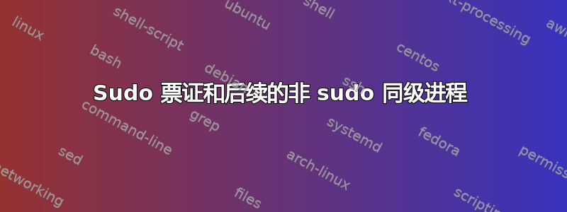 Sudo 票证和后续的非 sudo 同级进程